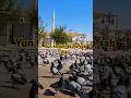 Yun To Jannat Mein Sab Hai Madina Nahin Madina Islamic Islam Instagram Mostpopular Gdrislamic