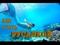 Как стать русалкой. Самый правильный способ русалки 