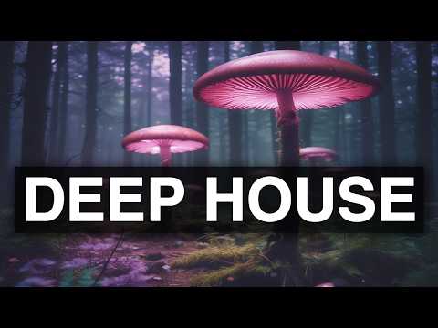 Deep House - Deep Vibes Only Vol.9 #deephouse #4KUHD #4K