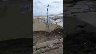 Mudanya da sel felaketi 2026