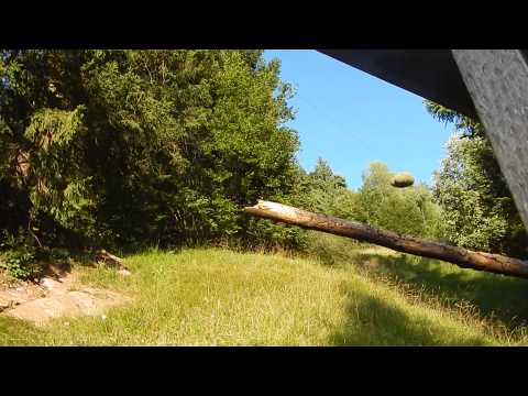 Heubündel beim Wildheuen Ennenda, Aeugsten, Brand