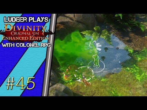 Divinity: Original Sin Enhanced Edition Coop - Part 45 - Luculla forest