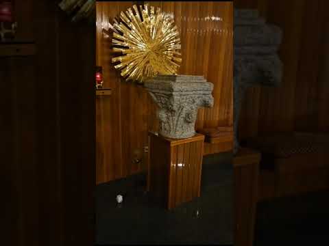 Squilibrato devasta chiesa e picchia i carabinieri: sottoposto a Tso Squilibrato devasta chiesa e picchia i carabinieri: sottoposto a Tso