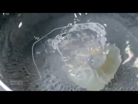 Les Secrets de Cuisson par le Chef Philippe Etchebest - Oeuf poché