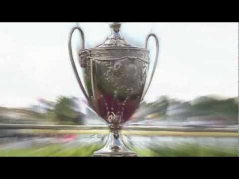 Auckland Cup Week 2013