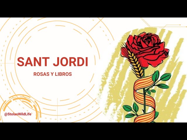 Vídeo relacionado con SIMBOLIKS Anillo Rosas de Sant Jordi, Diada de Catalunya, Dia dels Enamorats, Anillo de flores, Rositas, Regalo día de la madre, regalo Mujer, Regalo Rosas, Anillo ajustable de acero inoxidable