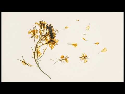 [Free For Profit]Soft Melodic Hip Hop Type Beat | "FLOWERS" | Loyalty Free Beats