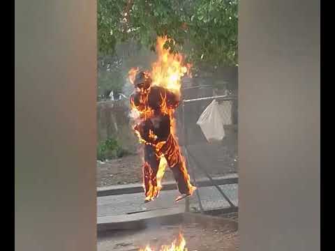 Tradiciones de Lima Blanco cojedes