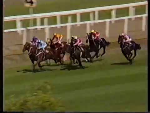 Heat Of The Moment - George Ryder Stakes 1986 (John Tapp Sunday Review)