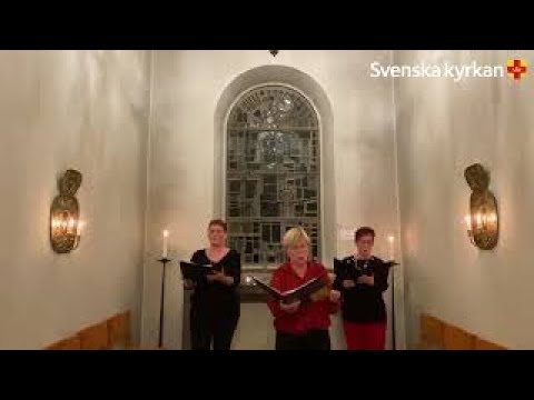 Julens önskesånger -Frid på jord