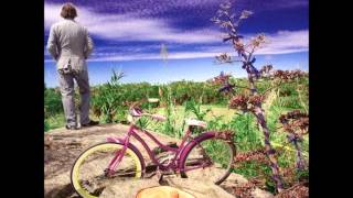 Peter Buck - Roswell