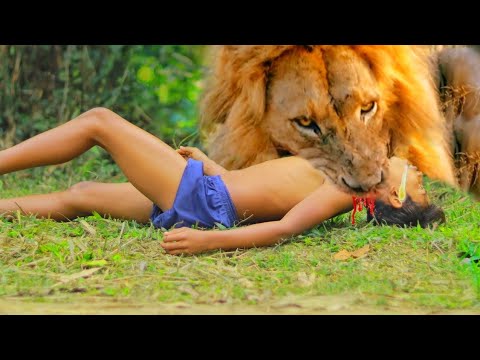 Lion Attack Man in Forest Lion AttackHunter Lion Attack Stories Part-27