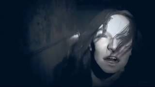 Ty Segall: The Only One ☝️(the last time)