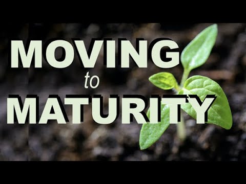 Moving To Maturity