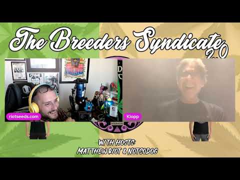 Unreleased Unedited Sour Diesel episode with Klopp Glass History of Diesel Part 1