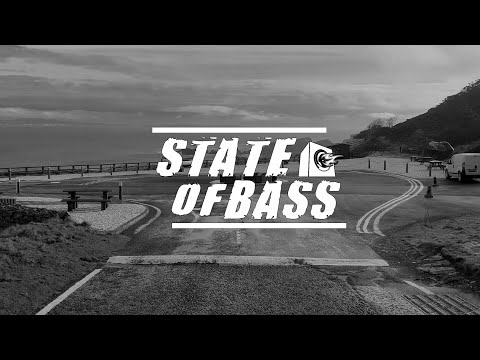 Meric Again, BRAN & Bromage - All By Myself (ft. HALUNA)