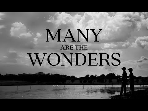 Witness21 Editor  2018 02 14