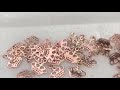 Anna Lou Of London Name Necklace