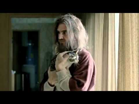 DIRECTV - Stop Taking in Stray Animals