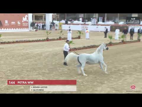 N 144 PETRA WW   The Turfah Arabian Horse Show 2023   Mares 10+ Years Old Class 6