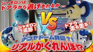 [分享] Doala在名古屋巨蛋玩躲貓貓