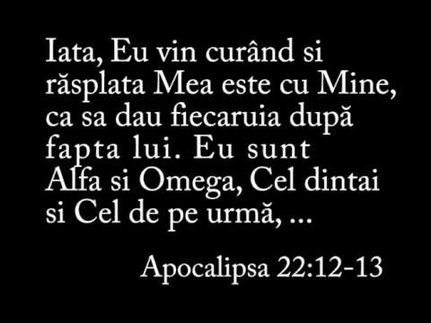 Nelu Gabor - 04  ÎN INIMĂ AM UN DOR NESPUS.wmv