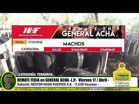 DE FRENTE AL CAMPO junto al SECTOR PRODUCTIVO - REMATE NHF S.A. -17/ABRIL -PARTE 2-