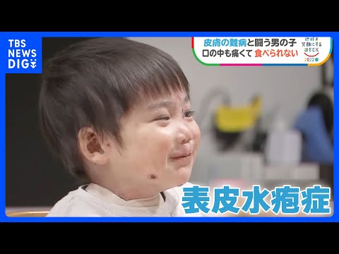 メディア掲載 動画