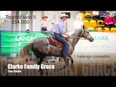 Landmark Classic Inaugural Challenge - Judge Tracey Heinrich