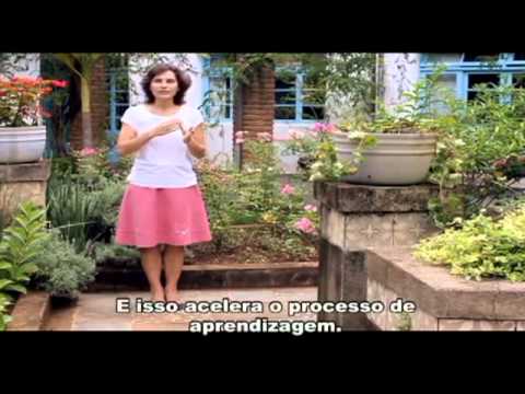 Curso de idiomas   método terapêutico Norberto Keppe    Millennium Escola de Línguas