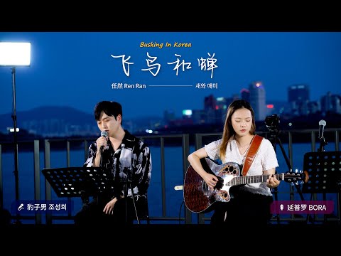 🎧在韩国街头唱中文歌｜任然 - 飞鸟和蝉（中韩版）｜豹子男 x 延普罗｜OUBA MUSIC