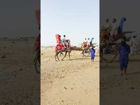 Hot Beach Very Nice Place For Visitors #Shorts