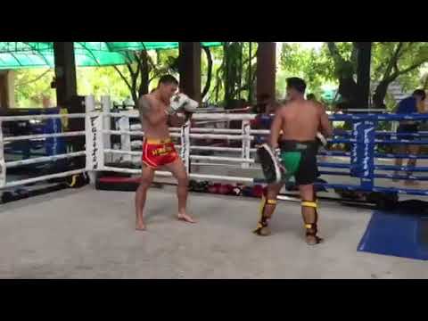 Pad work with Kru Ting