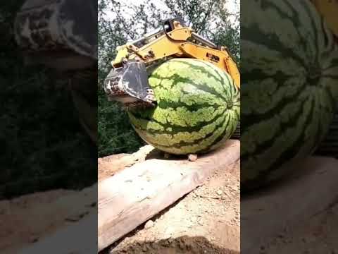 JCB cartoon video| real jcb and watermelon 🍉 😋 |#shorts #viral #watermelon #ytshorts #best