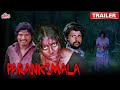 PARANKIMALA Official Trailer 2021 New Released Hindi Dubbed Movie Vinutha Lal Biyon
