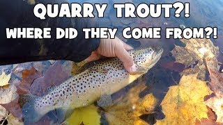 WHERE did These TROUT COME FROM?! QUARRY TROUT FISHING!!! (Oreland, PA)