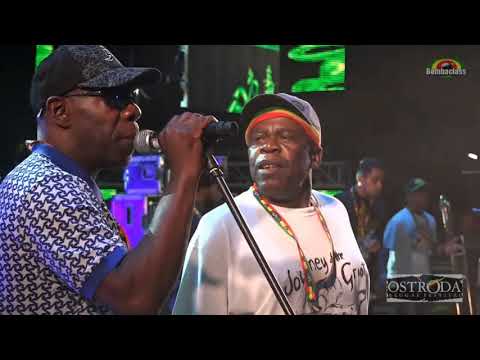 BLACK ROOTS (UK JAM) - Live @ Ostróda Reggae Festival 2015 (Poland)