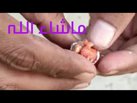 YouTube video