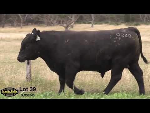 GRANITE RIDGE QUENCH Q240