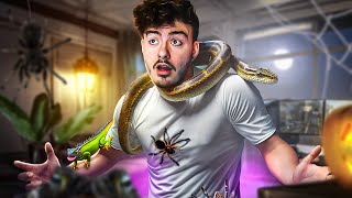 J'APPORTE UN ZOO CHEZ MOI EN LIVE ( J'AI VAINCU MA PLUS GROSSE PEUR )