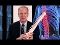 Thumbnail for video with the title: Spinal Nerve Root Pain