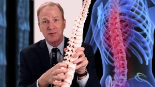 Spinal Nerve Root Pain
