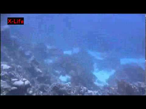 Unterwasser-Ufo, Bermuda allgemein,Bermuda