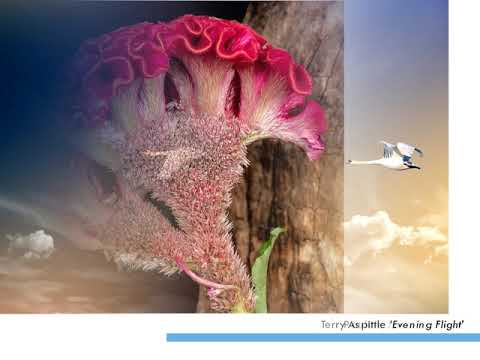 DPS Annual Exhibition - 2020