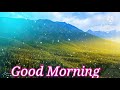 Good Morning Nature Status