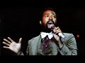 Marvin Gaye/Tammi Terrell. Give A Little Love