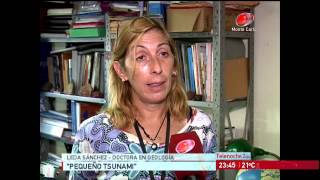 preview picture of video 'Estudio de sismos y tsunamis en Uruguay (13 de enero de 2015)'