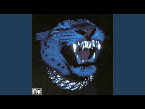 N’opps (freestyle)