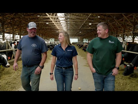 GEA CowScout™ Activity Monitoring System: Improving Heat Detection & Sort Rates at Coldstream Farms