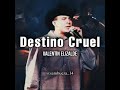 Valentín Elizalde - Destino Cruel